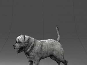 black dog 0160 3d print ready 3D 打印模型