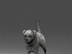 black dog 0160 3d print ready 3D 打印模型