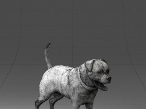 black dog 0160 3d print ready 3D 打印模型