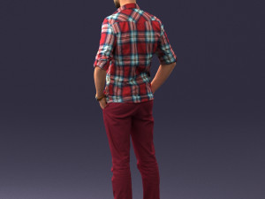man in plaid shirt 0342 3d print ready 3D-printmodel