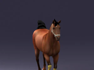 horse 0293 3D Model