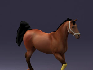 horse 0293 3D Model