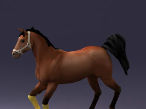 horse 0293 3D Model