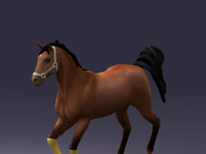 horse 0293 3D Model