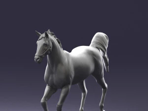 horse 0293 3D Model