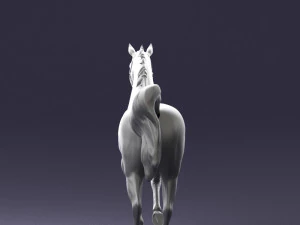 horse 0293 3D Model