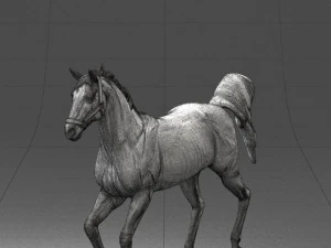 horse 0293 3D Model