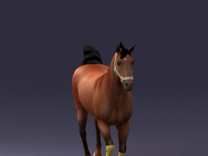 horse 0293 3d print ready 3D 프린트 모델