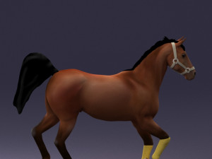 horse 0293 3d print ready 3D 프린트 모델