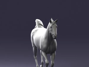 horse 0293 3d print ready 3D Print Model