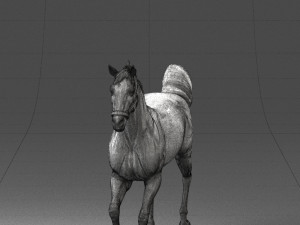 horse 0293 3d print ready 3D 프린트 모델