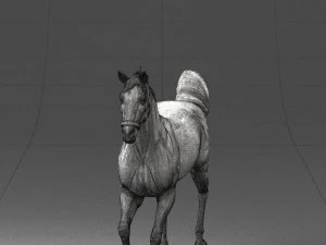 horse 0293 3d print ready 3D Print Model
