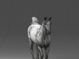 horse 0293 3d print ready 3D 프린트 모델