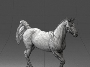 horse 0293 3d print ready 3D 프린트 모델