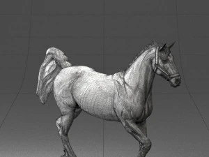 horse 0293 3d print ready 3D Print Model