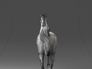 horse 0293 3d print ready 3D 프린트 모델