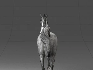 horse 0293 3d print ready 3D Print Model