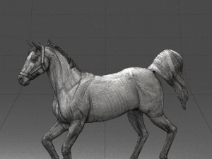 horse 0293 3d print ready 3D 프린트 모델