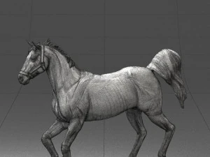 horse 0293 3d print ready 3D Print Model