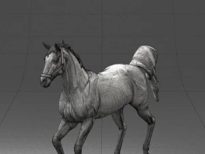 horse 0293 3d print ready 3D Print Model