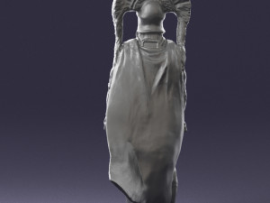 warrior 0303-9 3d print ready Modèles 3D en vedette