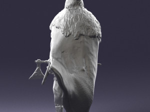 warrior 0303-10 3d print ready Modelo de Impressão 3D