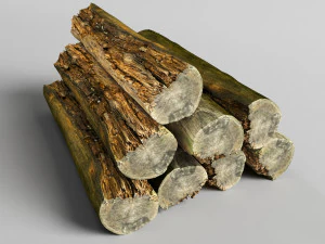 001224 tronco de &aacute;rvore podre Modelo 3D