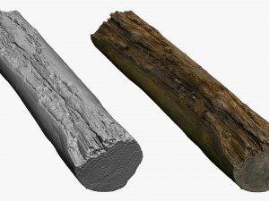 001224 rotten tree trunk Model 3D