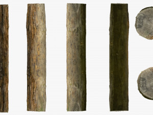 001224 rotten tree trunk Model 3D
