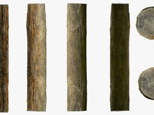 001224 rotten tree trunk 3D Model