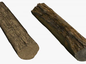 001224 rotten tree trunk 3D Model