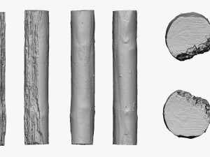 001224 rotten tree trunk Model 3D