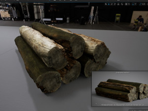 001224 rotten tree trunk Model 3D