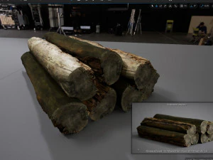 001224 rotten tree trunk 3D Model