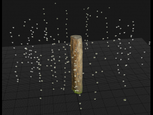 001224 rotten tree trunk Model 3D