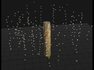 001224 rotten tree trunk 3D Model