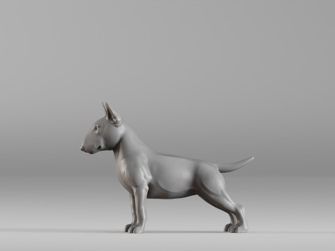 001588 Bull Terrier Dog Modèles 3D en vedette