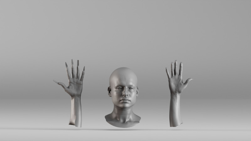 001656 3D Scan of Human Head and Hands 3D Принт Модель .c4d .max .obj .3ds .fbx .stl .blend