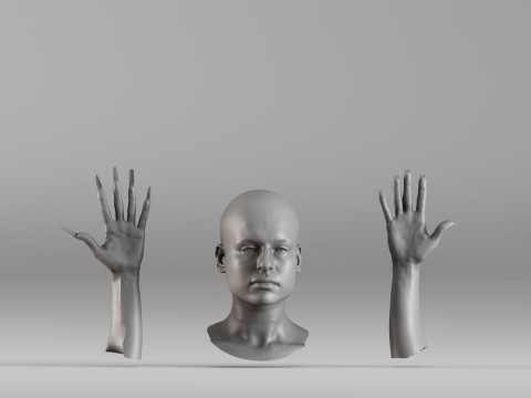 001656 3D Scan of Human Head and Hands 3D Druckmodell