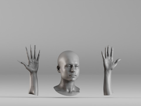 001656 3D Scan of Human Head and Hands 3D Принт Модель