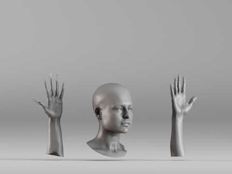 001656 3D Scan of Human Head and Hands 3D Принт Модель