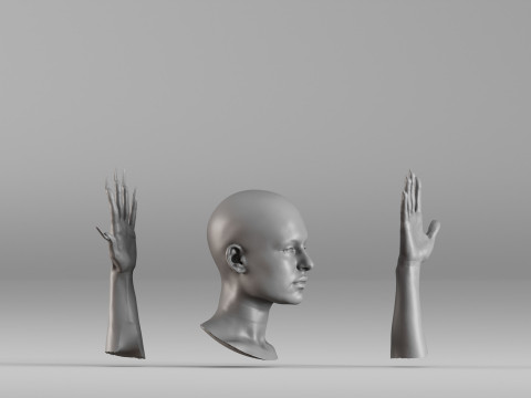 001656 3D Scan of Human Head and Hands 3D Принт Модель