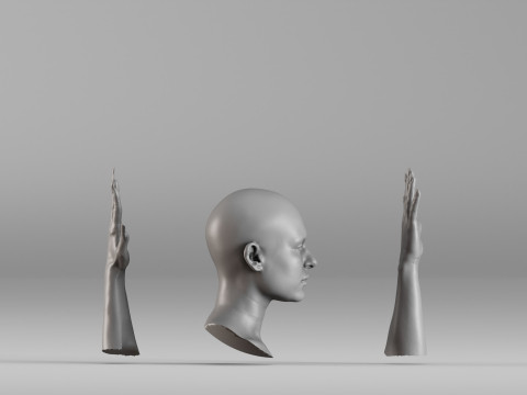 001656 3D Scan of Human Head and Hands 3D Принт Модель