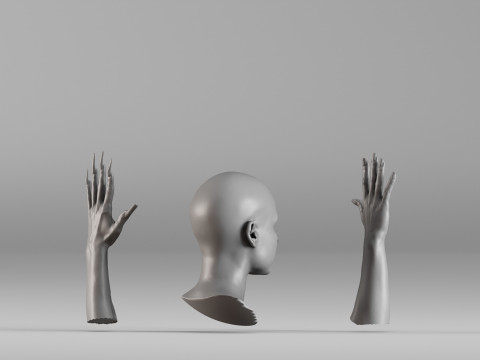 001656 3D Scan of Human Head and Hands 3D Принт Модель