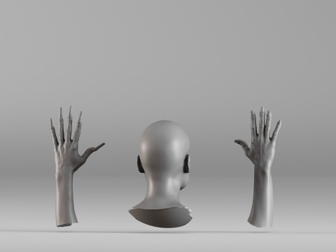 001656 3D Scan of Human Head and Hands 3D Принт Модель