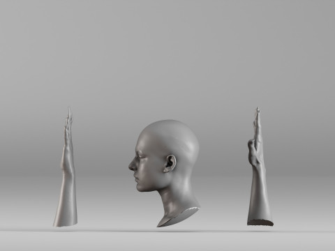 001656 3D Scan of Human Head and Hands 3D Принт Модель