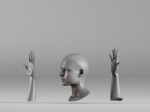 001656 3D Scan of Human Head and Hands 3D Принт Модель