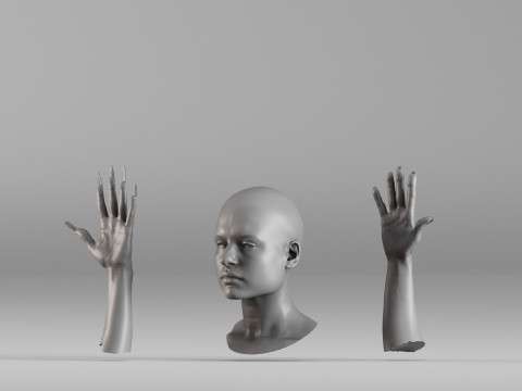 001656 3D Scan of Human Head and Hands 3D Принт Модель