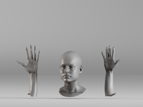 001656 3D Scan of Human Head and Hands 3D Принт Модель