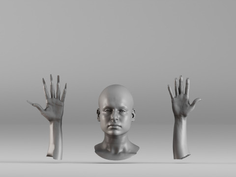 001656 3D Scan of Human Head and Hands 3D Принт Модель